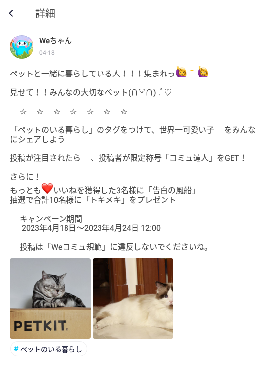 WePlay-モーメンツ-Weちゃん2023-04-18.png